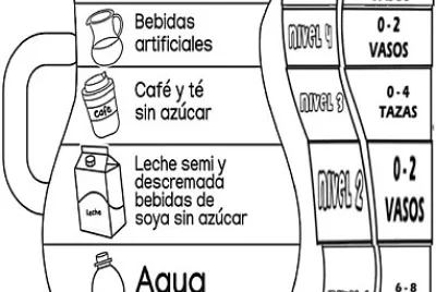 ESQUEMA DE LA JARRA DEL BUEN BEBER