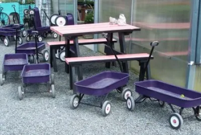 Purple Wagons