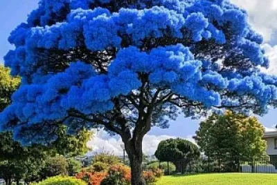 imagem jigsaw puzzle