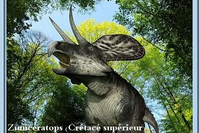 Zuniceratops - (Crétacé supérieur)