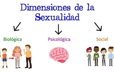 DIMENSIONES