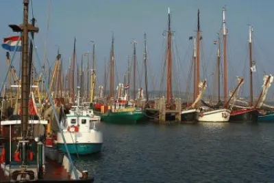 Holland 14