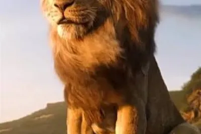 Oi
