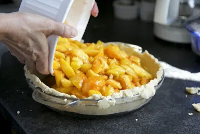 a jigsaw puzzle