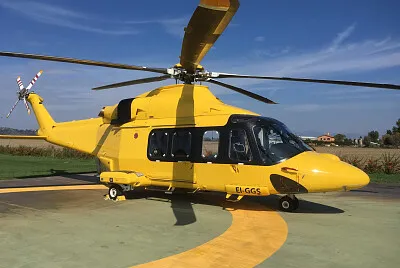 Toy