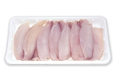 pollo