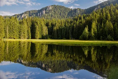 Nature