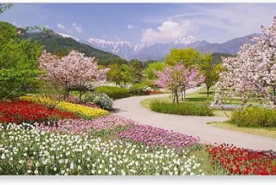 Primavera
