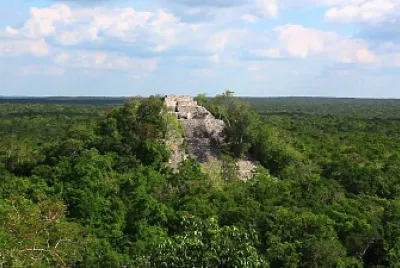 Selva