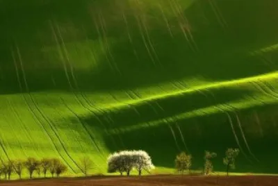 FaraÃ³n