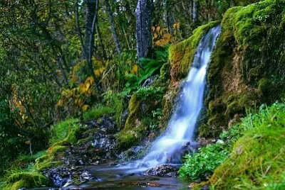 Nature