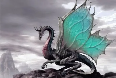 dragon jigsaw puzzle