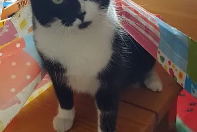 Charly