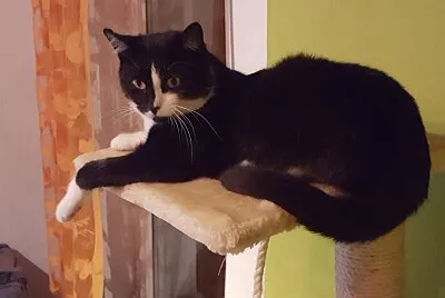 Charly entspannt