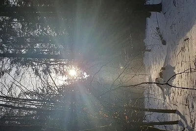 Waldspaziergang