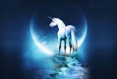 Unicorn