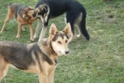 Madre e Hijos