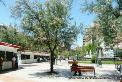 FaraÃ³n
