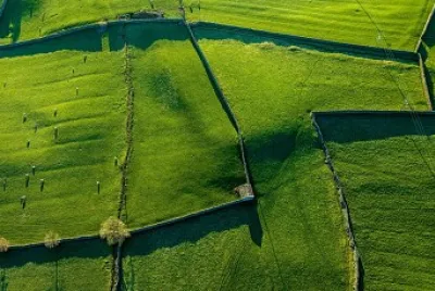 Farm