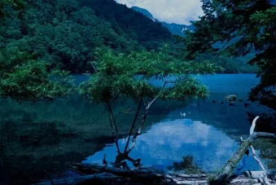 Imagem jigsaw puzzle
