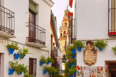 Flowerpot Lane in Cordoba jigsaw puzzle