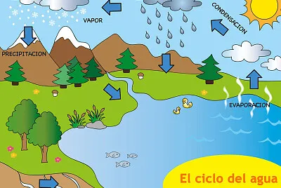 ciclo del agua jigsaw puzzle
