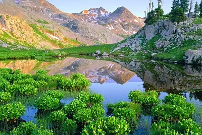 imagem jigsaw puzzle