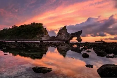 Atartdecer jigsaw puzzle