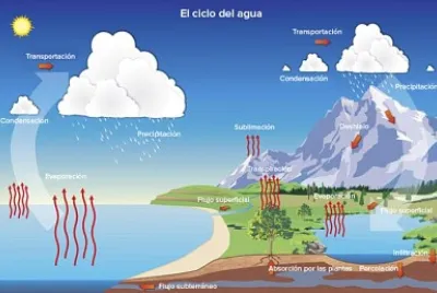 Ciclo del agua, realiza el siguiente rompecabezas en 36 piezas grandes