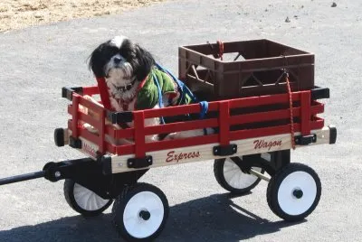 This is fun   drivin with dad