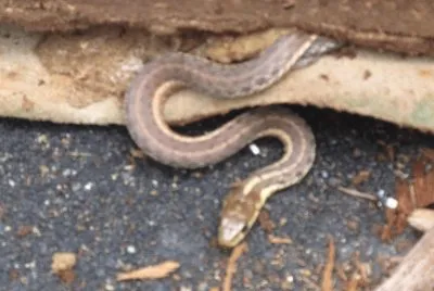 Yeah   I love spring