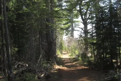 I love this part of the path