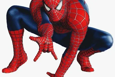 Homem aranha jigsaw puzzle