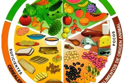 conozco el plato del bien comer jigsaw puzzle