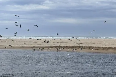 La plage Landes