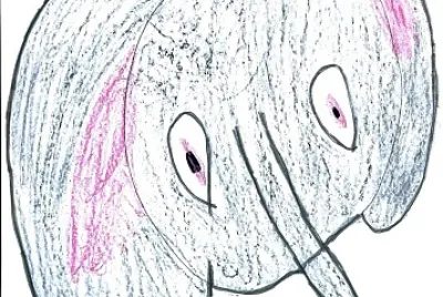 Il puzzle dell 'elefante