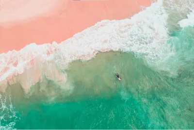 Surfista