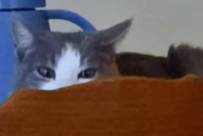Chat 003