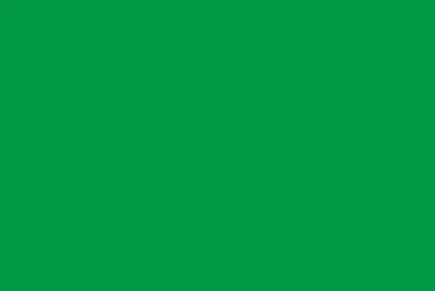 bandeira da minha cidade