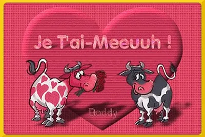Je t 'ai meeuuh