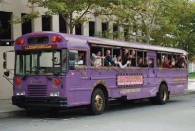 Big Purple Bus