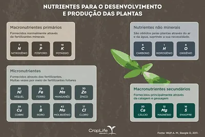 nUTRIENTES
