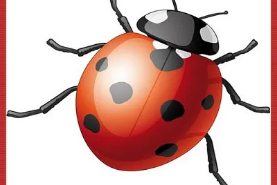 La Coccinelle