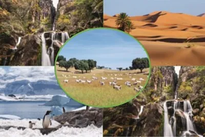 Ecologia - Grupo da Sala 12