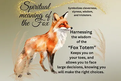 Fox