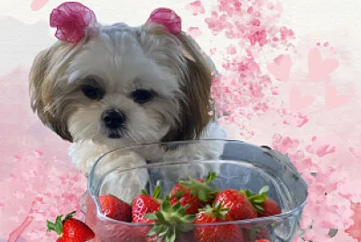 Mia Loves Strawberries