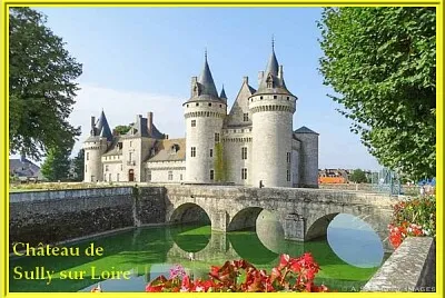 Château de Sully sur Loire