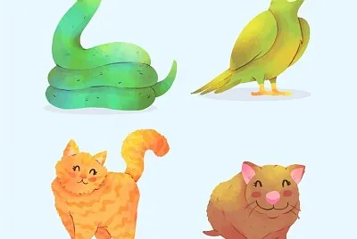 el mundo de los animales