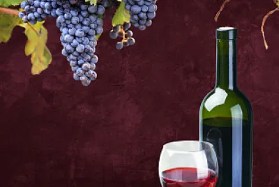 Wine   Cheese