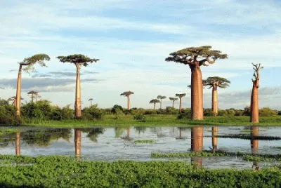 FaraÃ³n